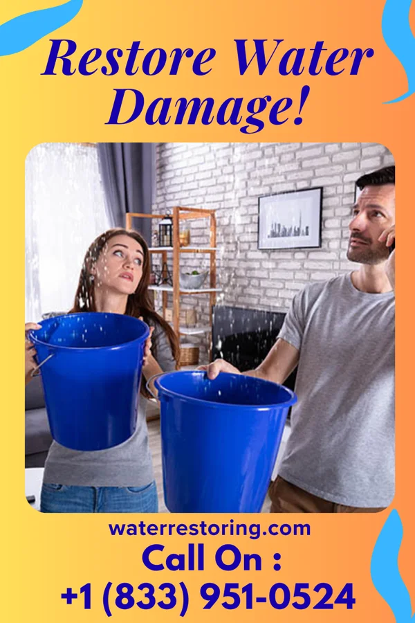 water restoration Peak Flood Mitigation LLC Hatfield