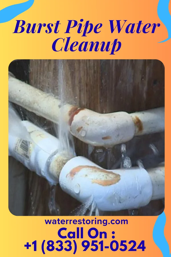 Burst Pipe Water Cleanup in Hatfield, WI