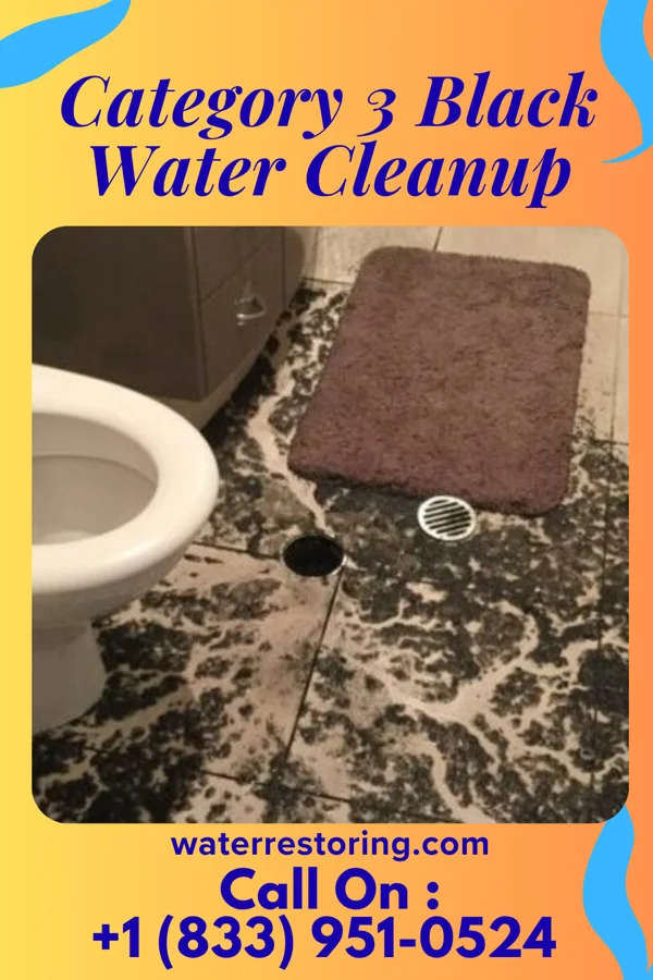 Category 3 Black Water Cleanup in Hatfield, WI