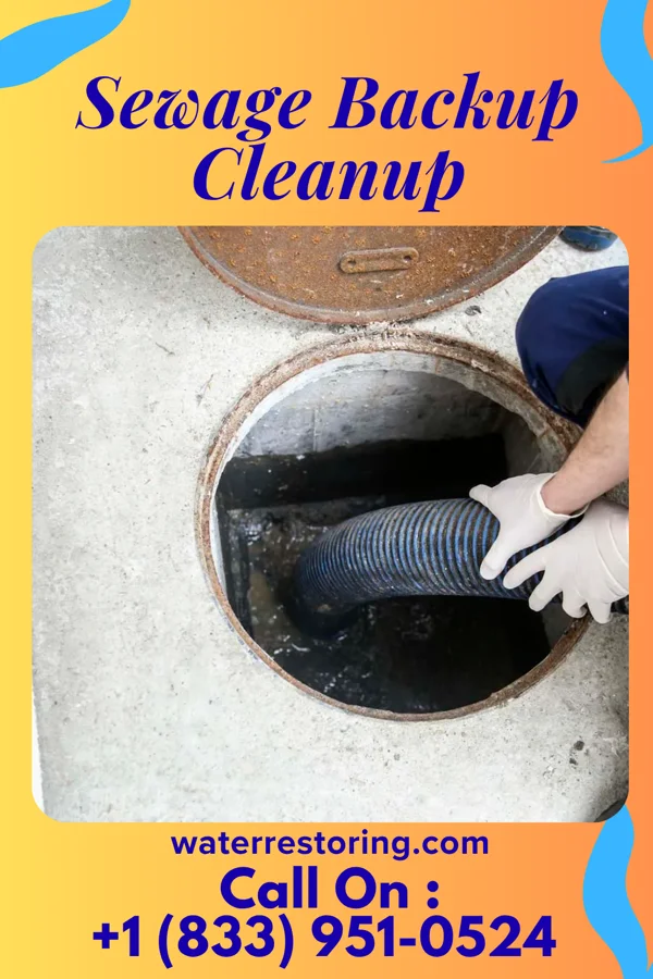 Sewage Backup Cleanup in Hatfield, WI