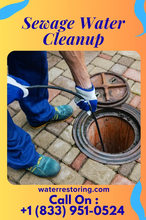 Sewage Water Cleanup in Hatfield, WI