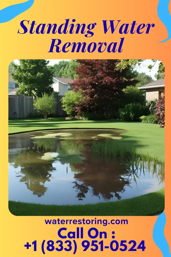 Standing Water Removal in Hatfield, WI